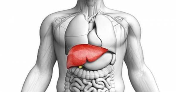 یک نمونه کامل از رژیم پاکسازی و سم زدایی کبد