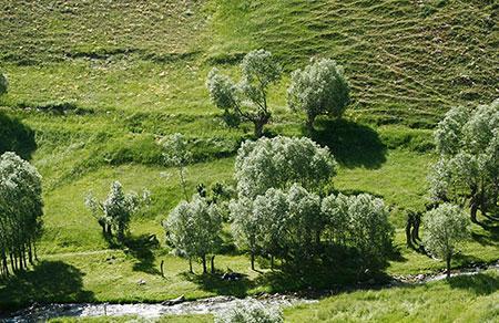 زیبایی های دره و روستای لیقوان به روایت تصویر