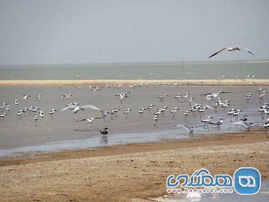 قبر ناخدا یکی از جزیره های غیر مسکونی خلیج فارس است