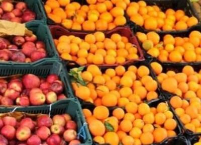 زمان توزیع میوه تنظیم بازار شب عید تعیین شد